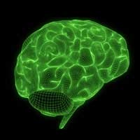 Brain Psychology Train Career Neuro